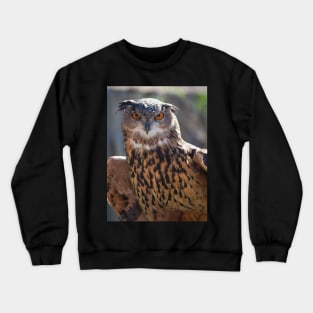 Eagle Owl Crewneck Sweatshirt